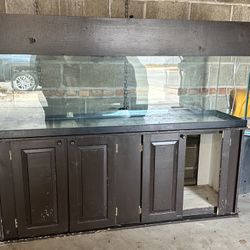 125 Gallon Aquarium 