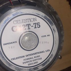 Celestion 2x12 Guitar Cab