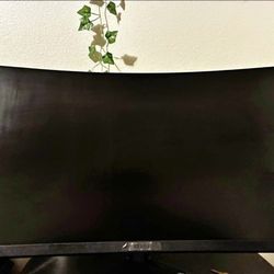 MSI Gaming Monitor 165 hz