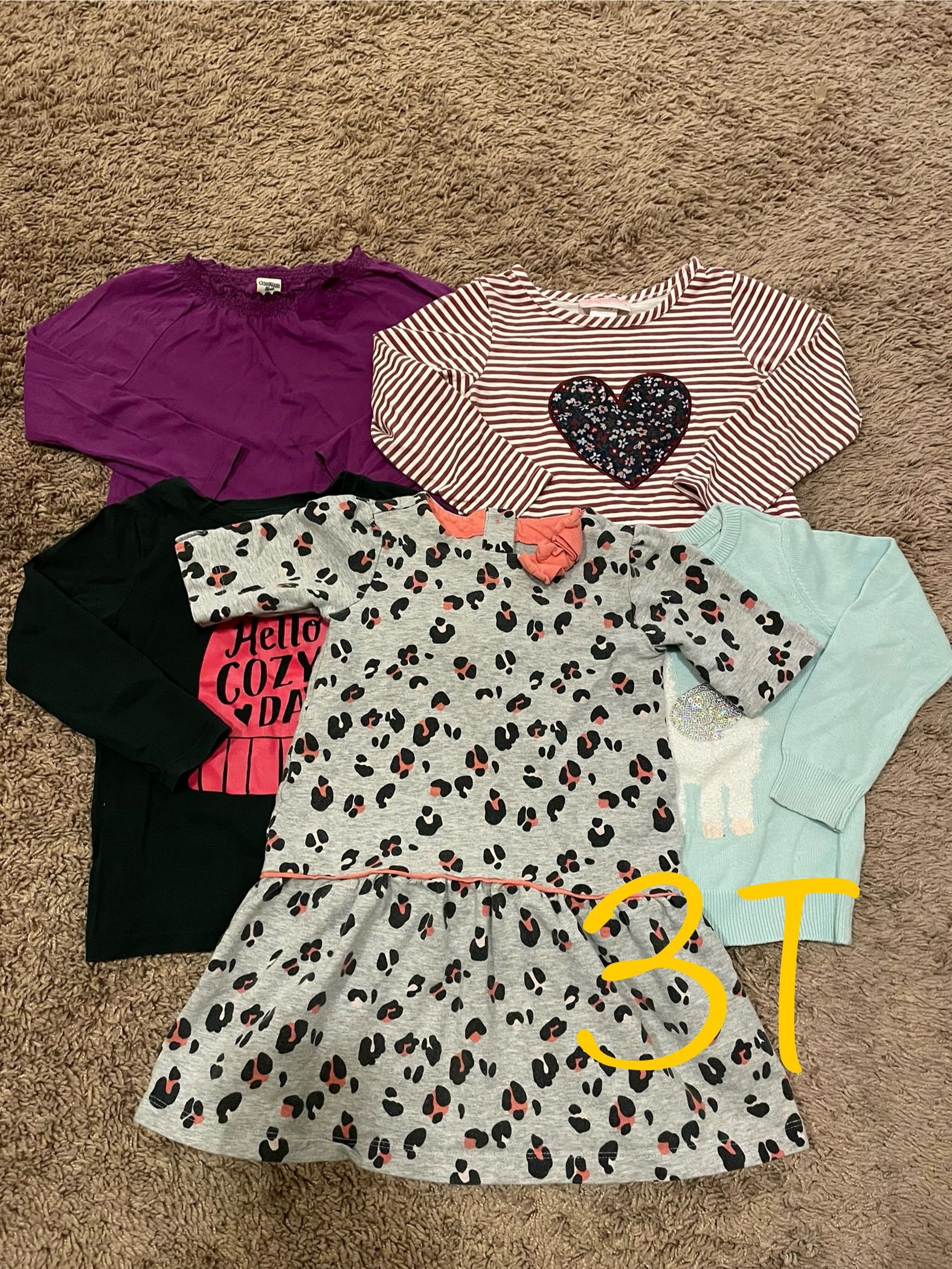 Winter/fall Girl Clothes, Long Sleeves Shirts Size 3T
