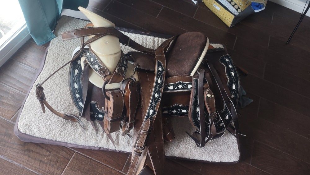 Selling my Saddle And Horse
