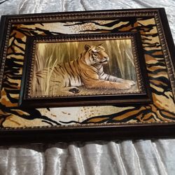 Beautiful Tiger frames in tiger print
