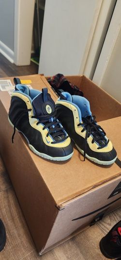 Nike Kids Foamposites Size 2y