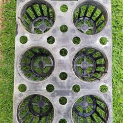 Orchid Trays, Plant Trays