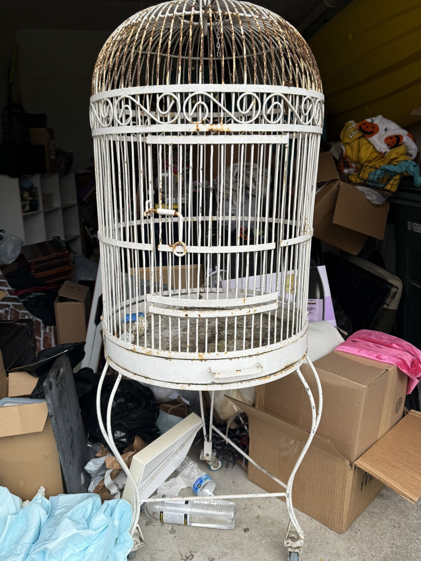 Bird Cage