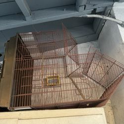 Free bird cage