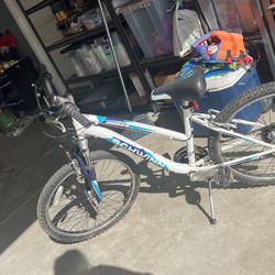 Schwinn Bike