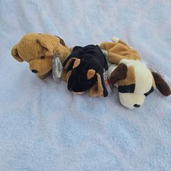 1996 Beanie Babies Dogs