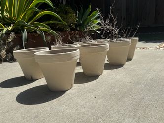 Set of 8 beige pot plants