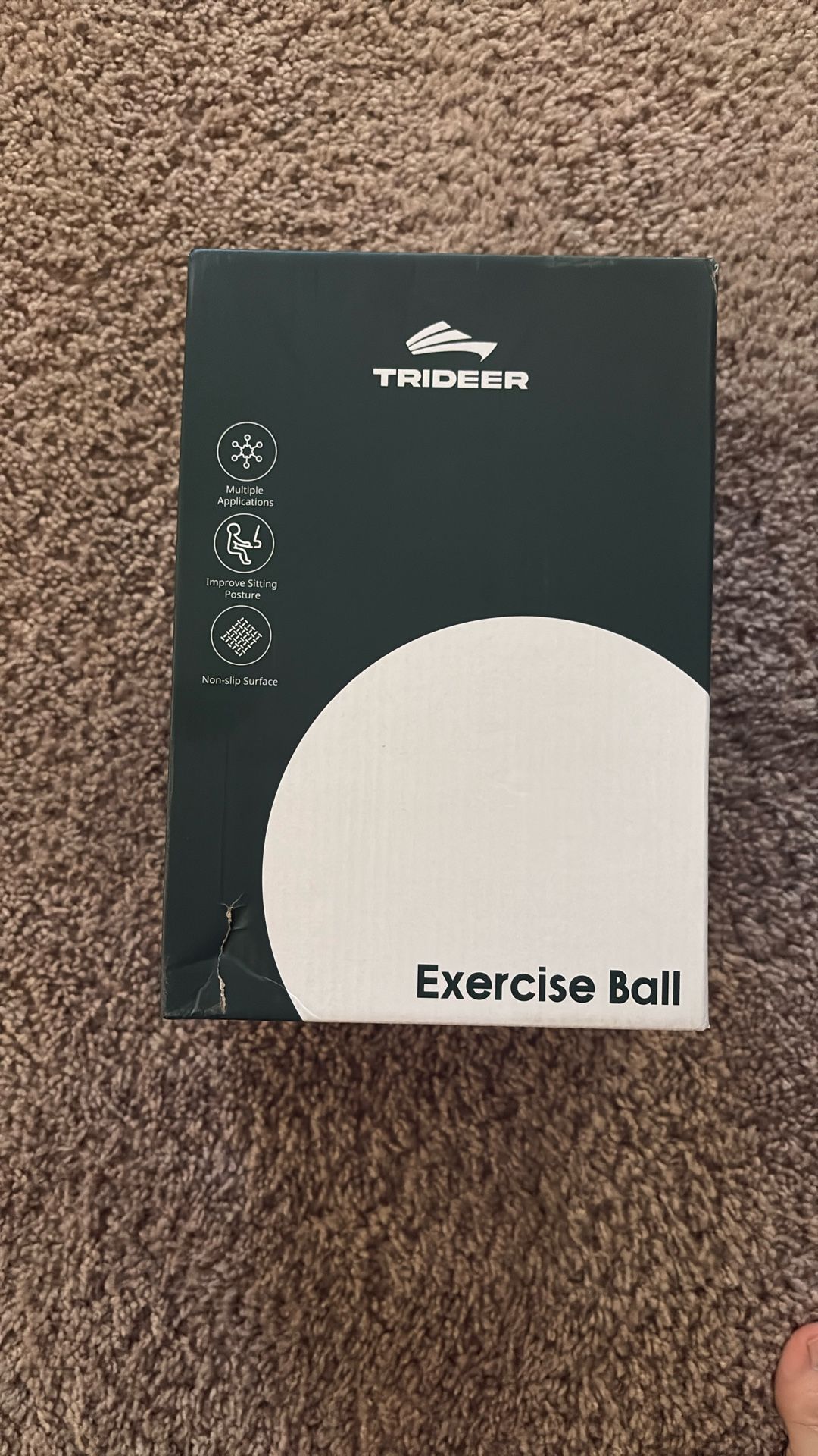 Trident Exercise Ball (L) 23”-26”