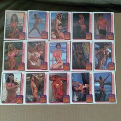 THE BIKINI OPEN CARDS