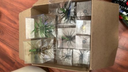 Urchin bass lures