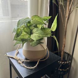 Faux Plant 