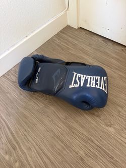 Everlast Elite 2 Boxing Gloves 14 oz.