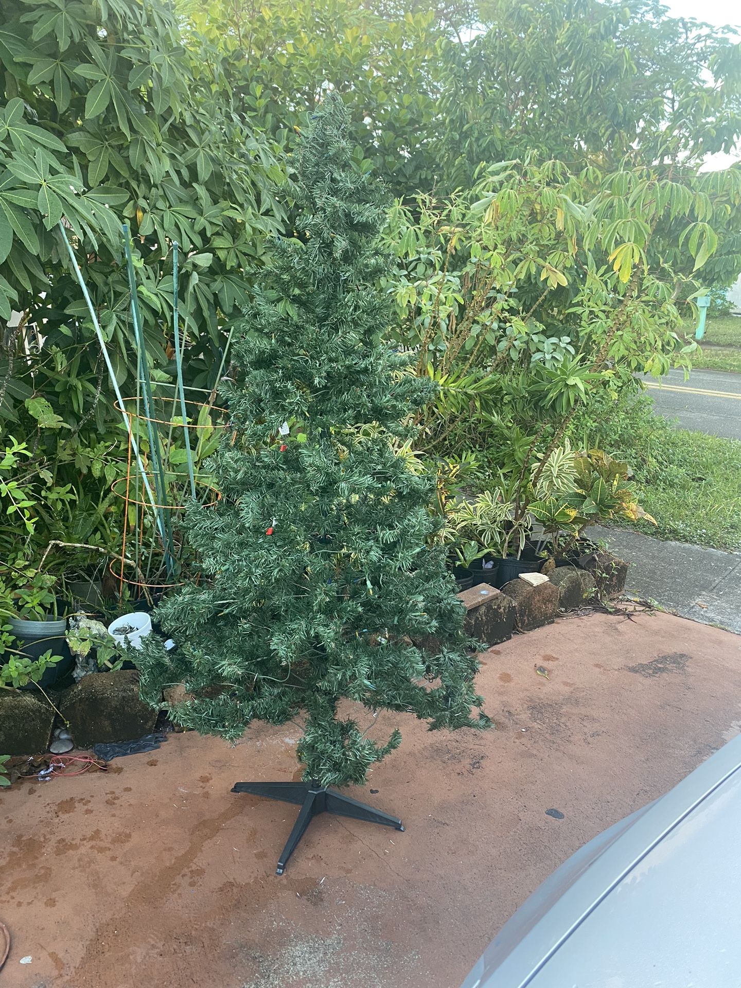 6 Ft Christmas Tree With Light