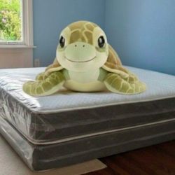 Queen Size Mattress regular With Box Spring Set Colchones Nuevos Queen Size Mattress Bed 