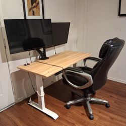 ELECTRIC SIT/ STAND DESK & MONITOR SETUP ( HEIGHT  ADJUSTABLE)