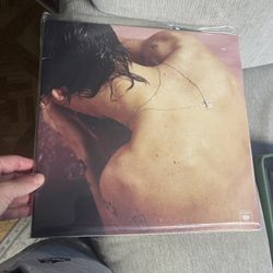 Harry Styles 
