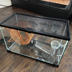 Mice Breeder Set Up