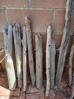 DRIFTWOOD/PETS/LANDSCAPE