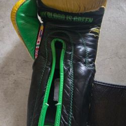 Title Leather Boxing Gloves WBC Edition