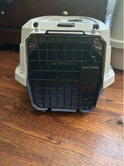 Kitten Carrier