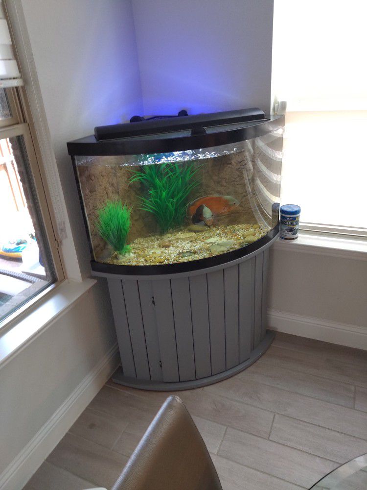 54 Corner Fish Tank 