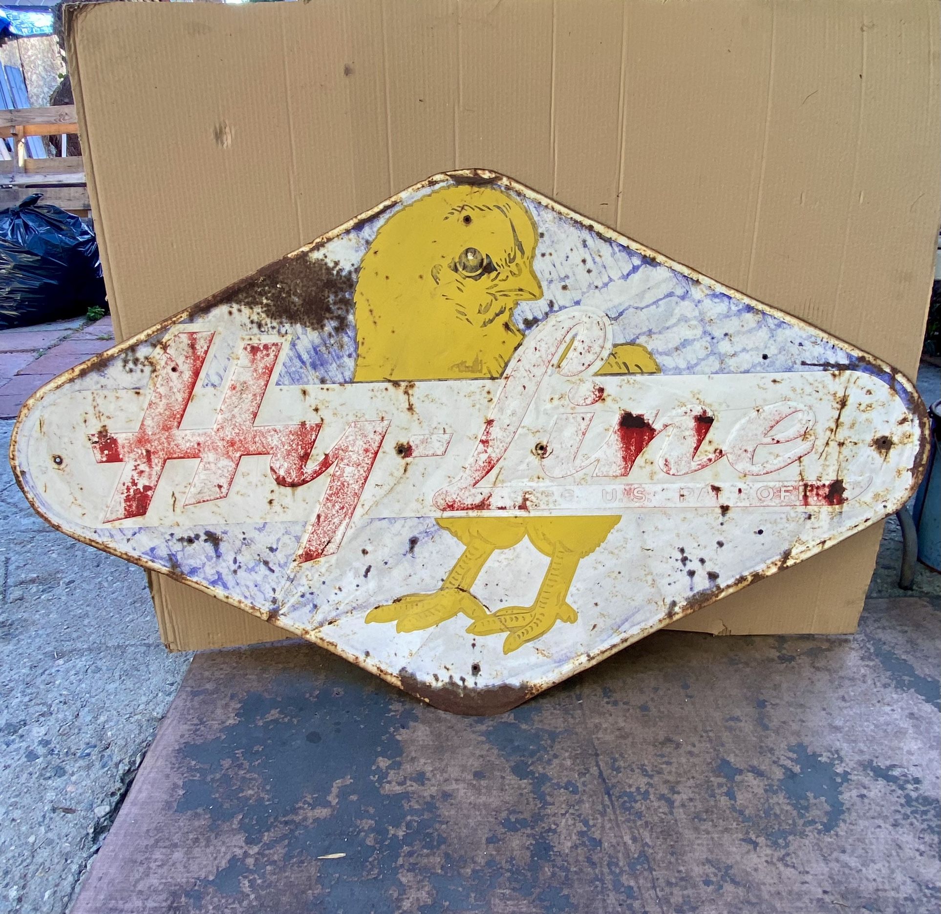 Vintage Hy-Line Sheet Metal Sign 60”x35”