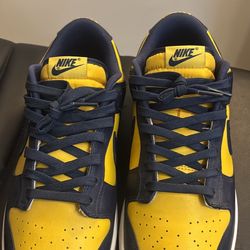 Nike Dunk Michigan colorway (size 10)
