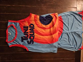 Space jam adult costume