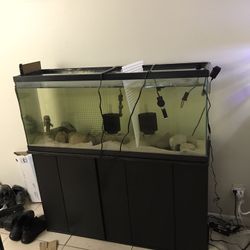 55g Tank And Stand
