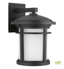 Wish Collection 1-Light 12.5 in. Outdoor Textured Black LED Wall Lantern Sconce