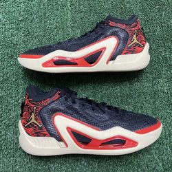 Jordan Tatum 1 Zoo size 10 USED But Clean