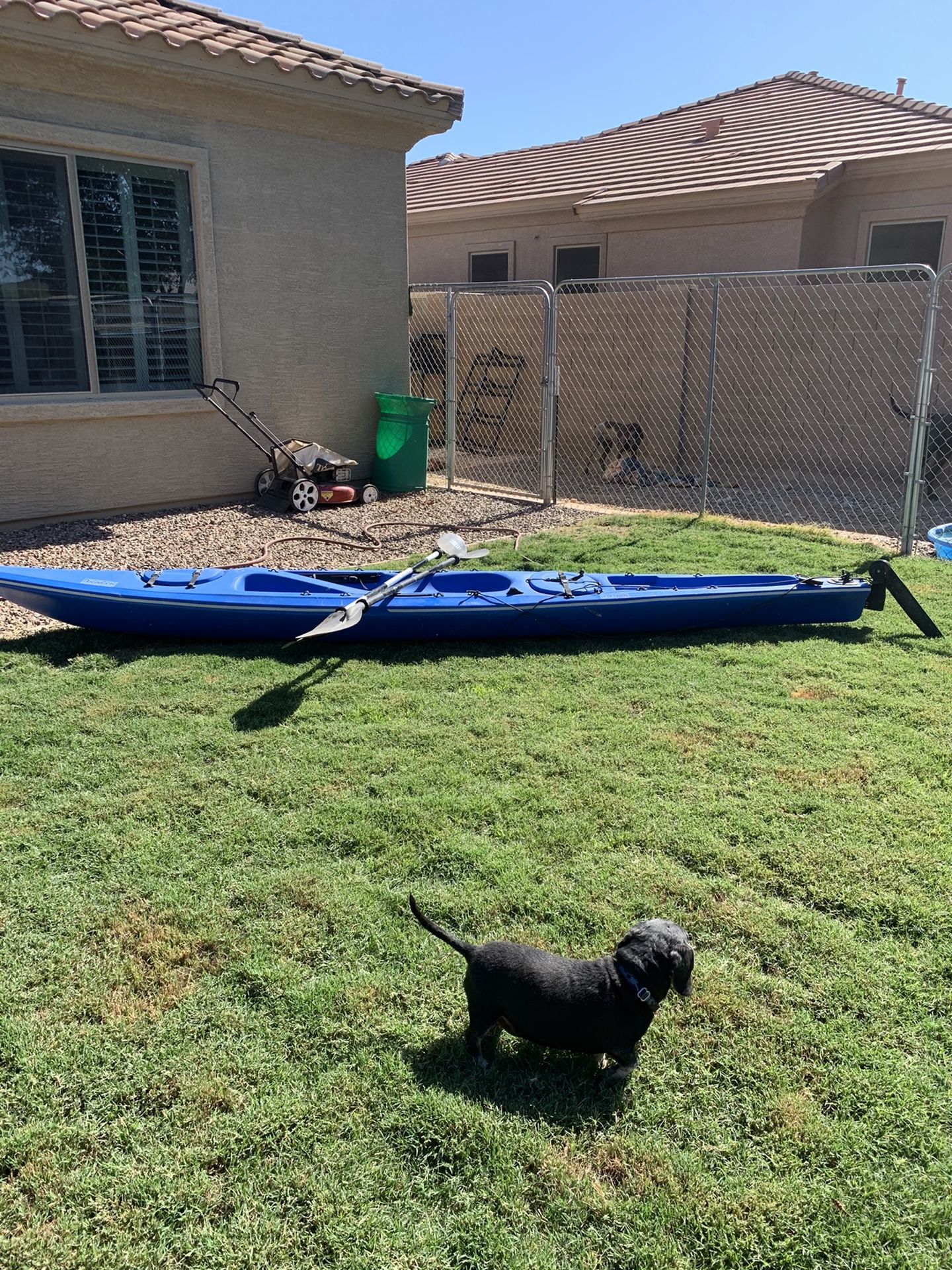 Necky Kayak/Dolphin for Sale in Waddell, AZ OfferUp