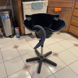 FREE portable Shampoo Bowl PENDING 