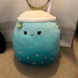 Squashmallow NWT