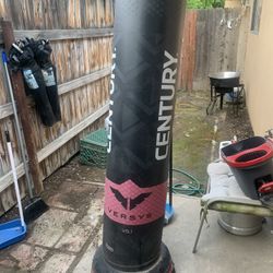 Century Versys Figth Simulator 