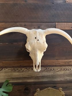 Bull head