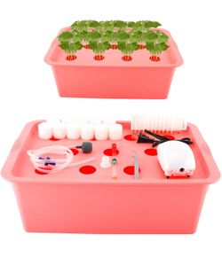 Indoor Hydroponic Grow Kit with Bubble Stone, 11 Plant Sites (Holes) Bucket,Buoy,Air Pump, Planting Sponges - Best Indoor Herb Garden for Plants