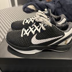 Kobe 6 Mambacitas Size 8 