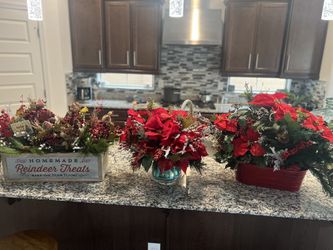CHRISTMAS FLOWERS 