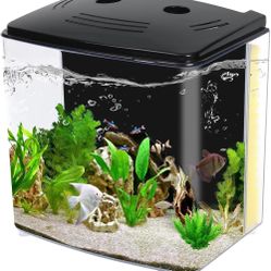 Small Fish Tank 
