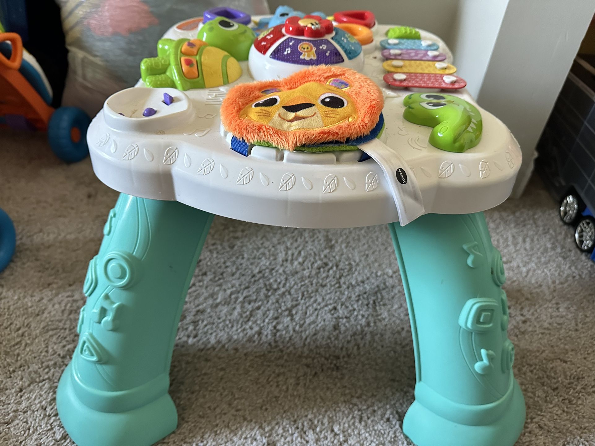Touch And explore activity Table