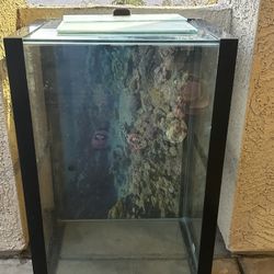 65 Gallon Fish Tank 