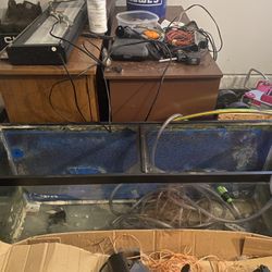 Aquarium 