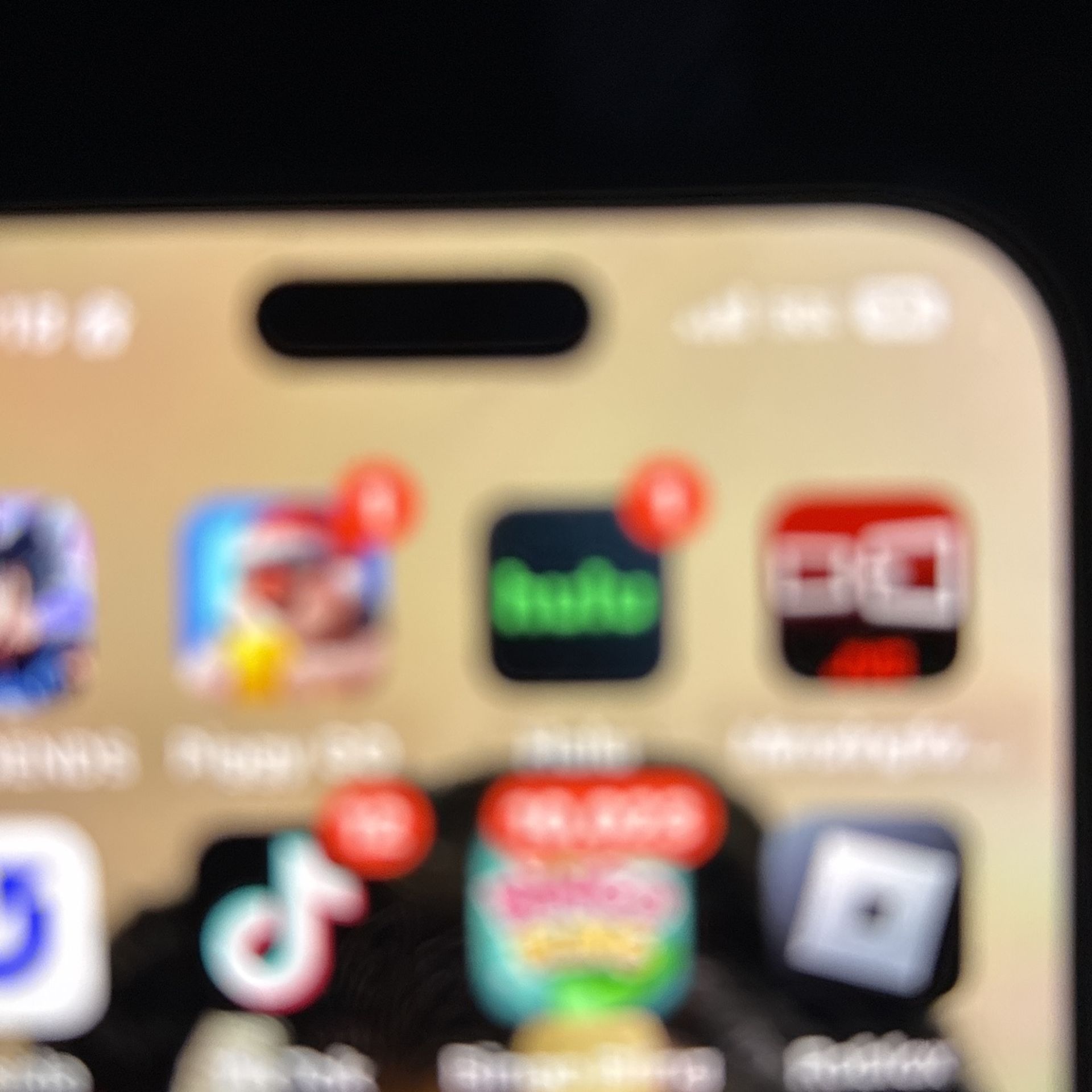 iPhone 16 Pro Max With TikTok Installed