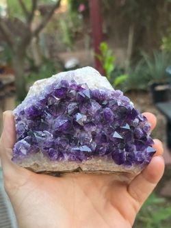 Amethyst Crystals on Matrix $40 Quartz Minerals