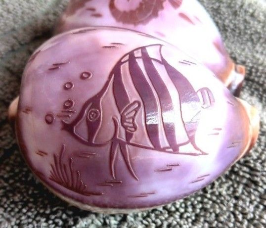 Tiger cowrie shells w hand carved sea horse & fish NAUTICAL beach home decor / wedding, etc.