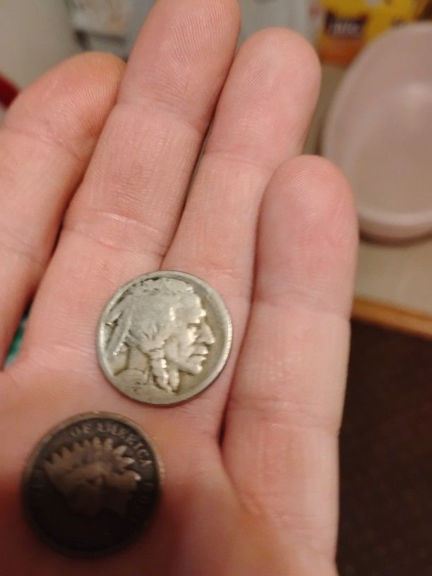 Buffalo Nickel No Mint