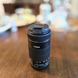 EF-S 55-250mm f/4-5.6 IS STM